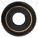 Seal Ring, valve stem